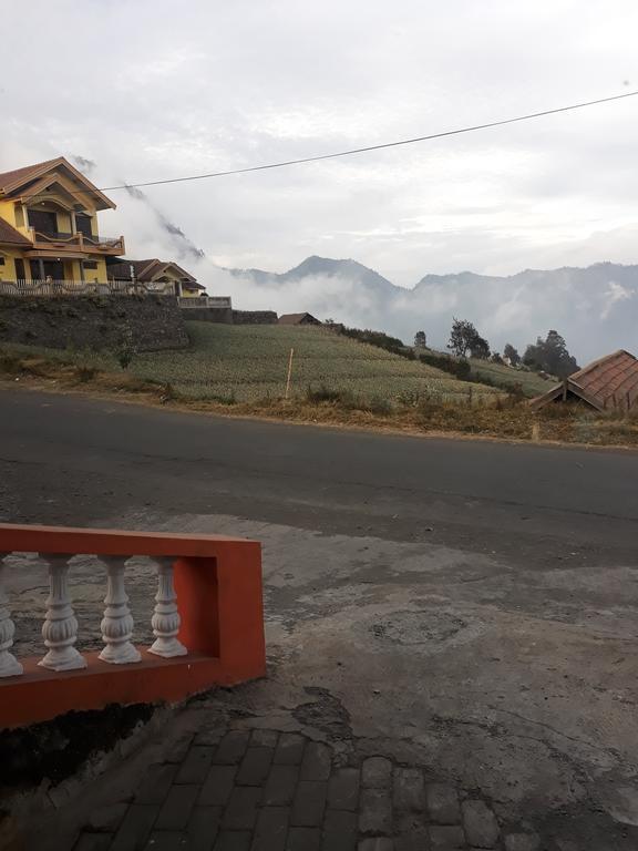 Sedulur Homestay Бромо Екстер'єр фото