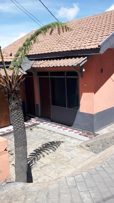 Sedulur Homestay Бромо Екстер'єр фото