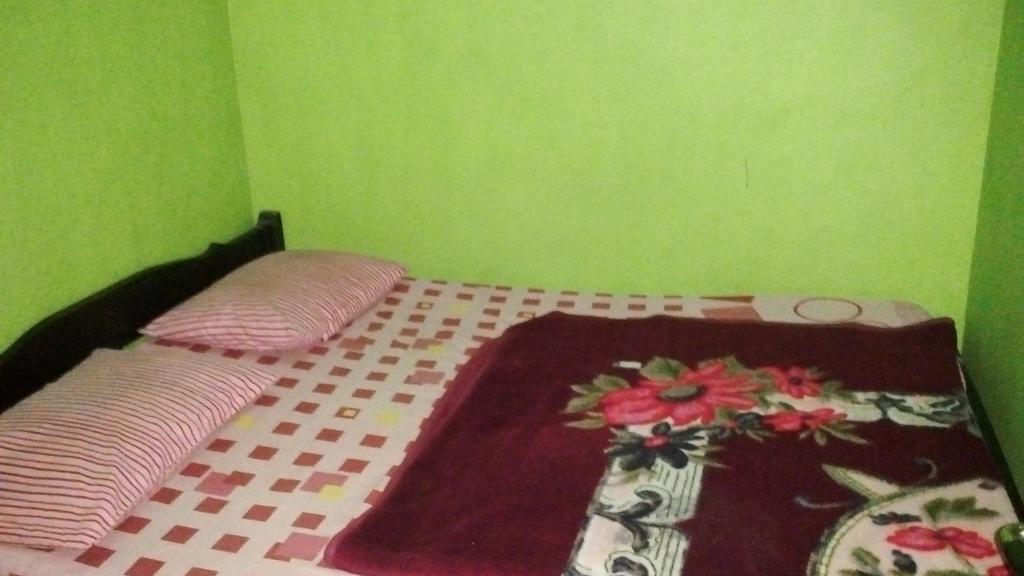 Sedulur Homestay Бромо Екстер'єр фото